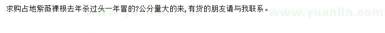 求購(gòu)7公分占地紫薇