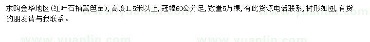 求購1.5米以上紅葉石楠