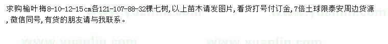 求購8-10-12-15公分榆葉梅