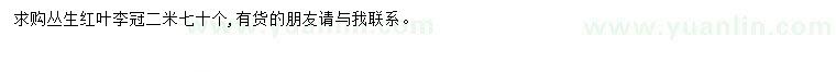 求購冠2米紅葉李