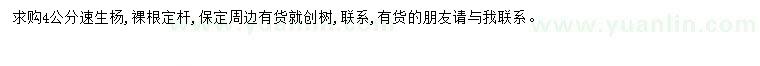 求購4公分速生楊