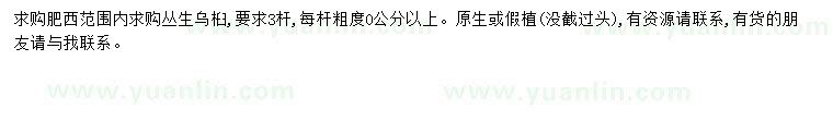 求購3桿烏桕