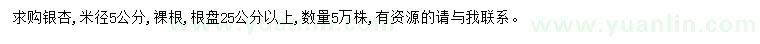 求購米徑5公分銀杏