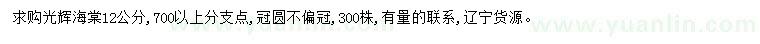 求購(gòu)12公分光輝海棠