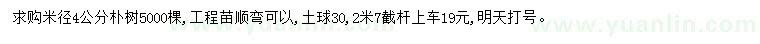 求購米徑4公分樸樹