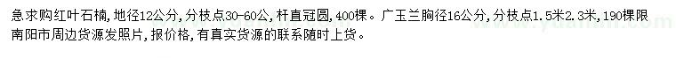 求購地徑12公分紅葉石楠、胸徑16公分廣玉蘭
