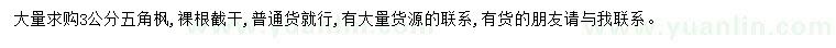 求購3公分五角楓