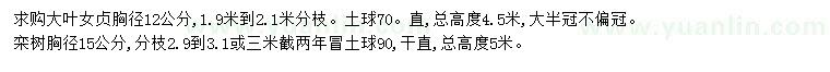 求購胸徑12公分大葉女貞、胸徑15公分欒樹