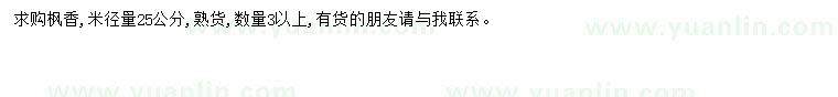 求購米徑25公分楓香