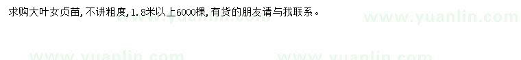 求購大葉女貞