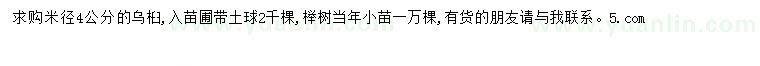 求購(gòu)米徑4公分烏桕、櫸樹(shù)當(dāng)年小苗