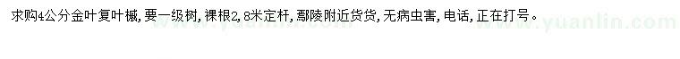 求購4公分金葉復(fù)葉槭