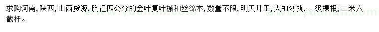求購胸徑4公分金葉復(fù)葉槭、絲棉木
