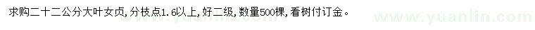 求購22公分大葉女貞