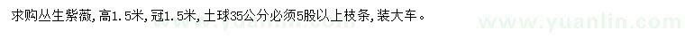 求購高1.5米叢生紫薇