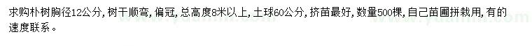 求購胸徑12公分樸樹