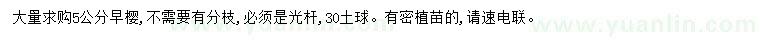 求購5公分早櫻
