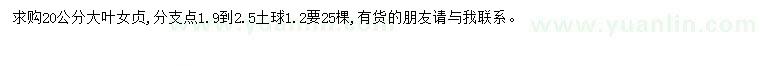 求購20公分大葉女貞