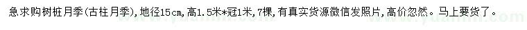 求購(gòu)地徑15公分樹樁月季
