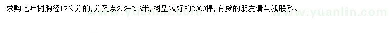 求購(gòu)胸徑12公分七葉樹