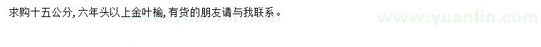 求購15公分金葉榆