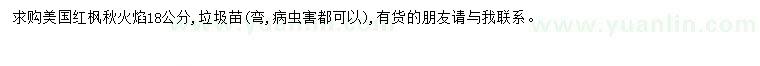 求購(gòu)18公分秋火焰