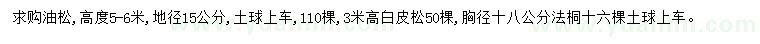 求購油松、白皮松、法桐