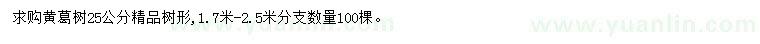 求購25公分黃葛樹