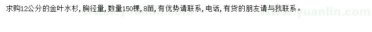 求購12公分水杉