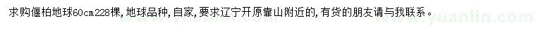 求購(gòu)60公分偃柏