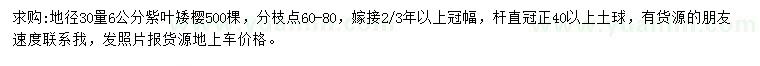 求購30量6公分紫葉矮櫻