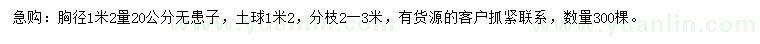 求購(gòu)1.2米量20公分無(wú)患子