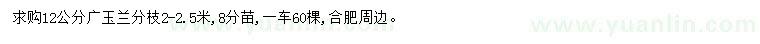 求購12公分廣玉蘭