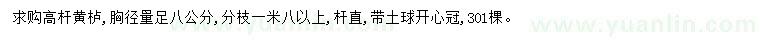 求購胸徑8公分黃櫨