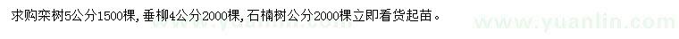 求購欒樹、垂柳、石楠