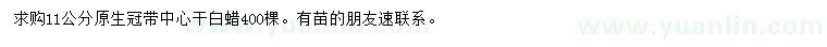 求購11公分白蠟