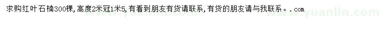 求購高度2米冠1米5紅葉石楠