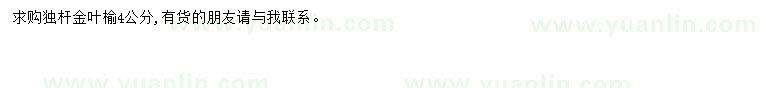求購(gòu)4公分金葉榆