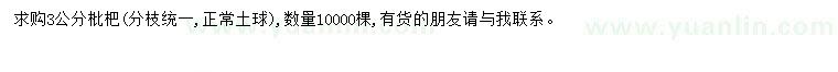 求購3公分枇杷