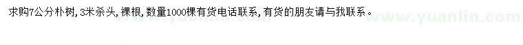 求購7公分樸樹