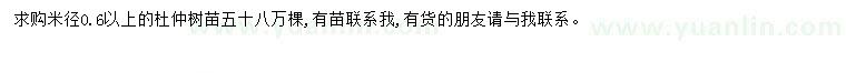 求購米徑0.6公分以上杜仲