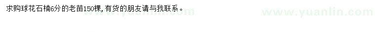 求購6公分球花石楠