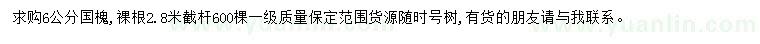 求購6公分國槐