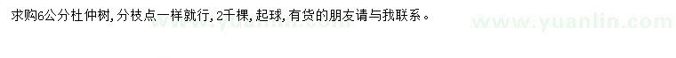 求購6公分杜仲樹