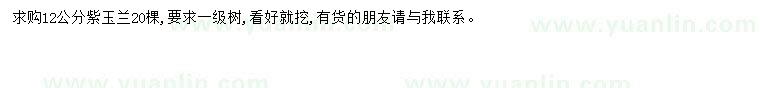 求購12公分紫玉蘭