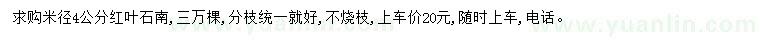求購米徑4公分紅葉石楠