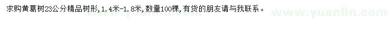 求購23公分黃葛樹