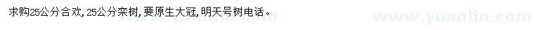 求購25公分合歡、欒樹