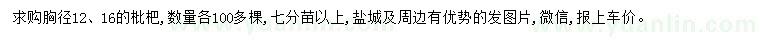 求購胸徑12、16公分枇杷