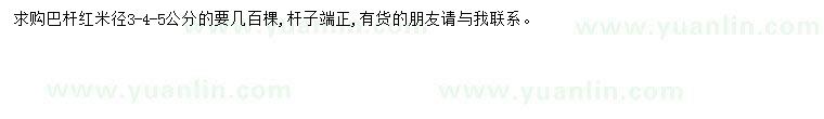 求購米徑3-4-5公分巴桿紅